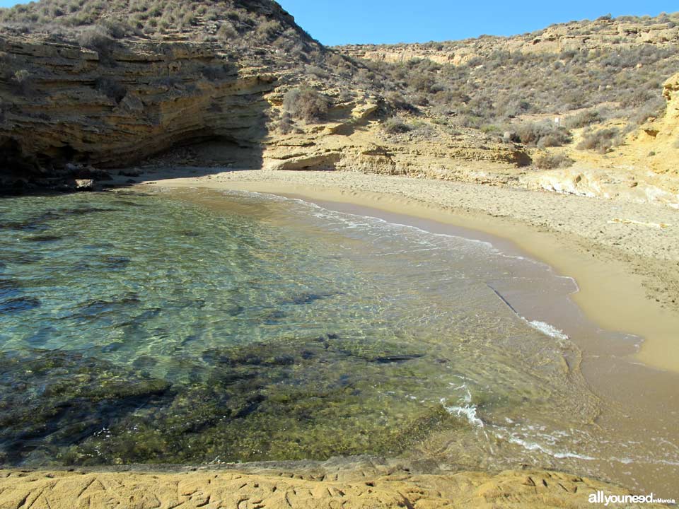 La Higuerica. Cuatro Calas en Águilas