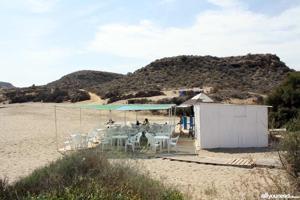 Playa de la Higuerica