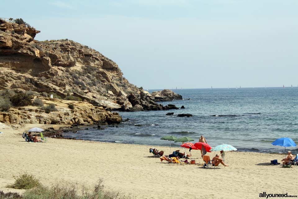 Playa de la Higuerica