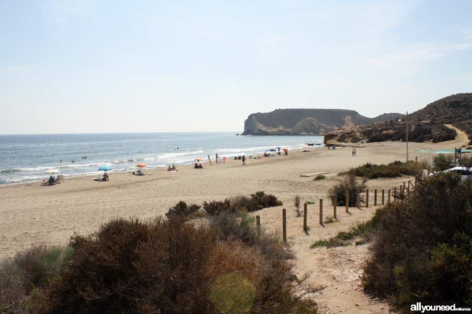 Playa de la Higuerica