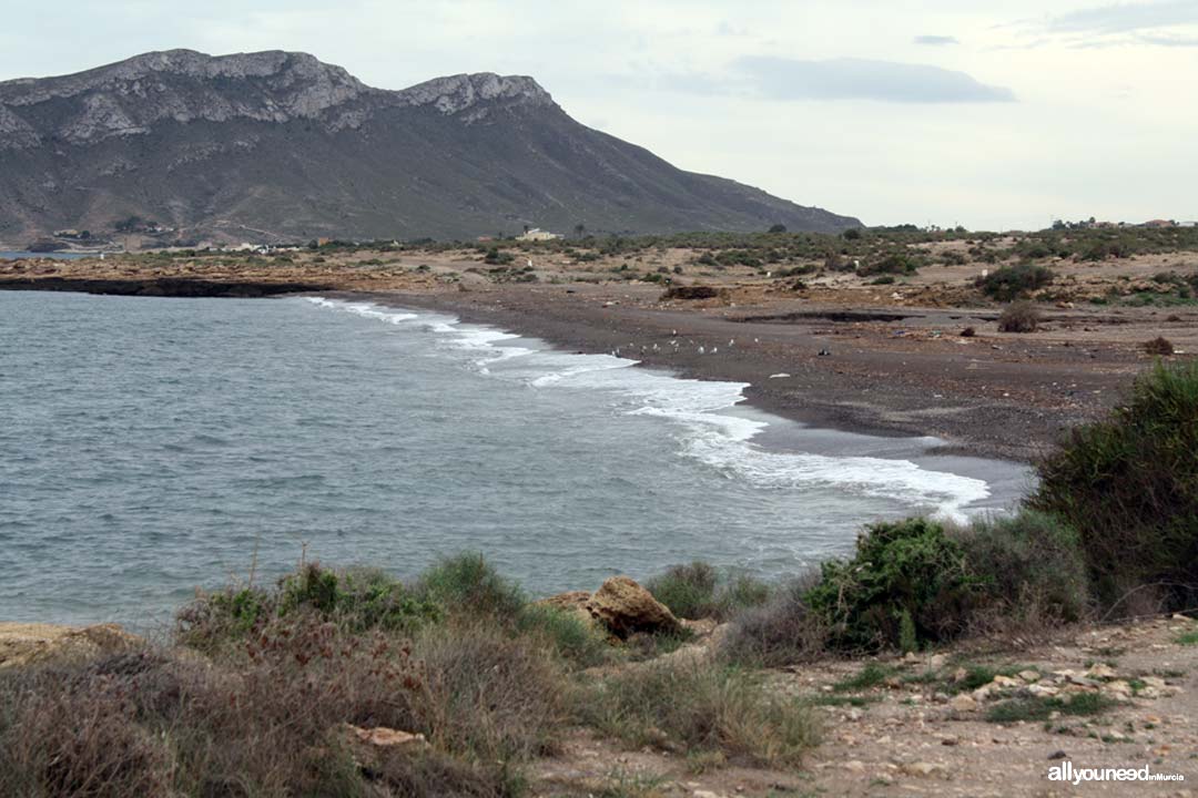 Playa de la Rambla Elena