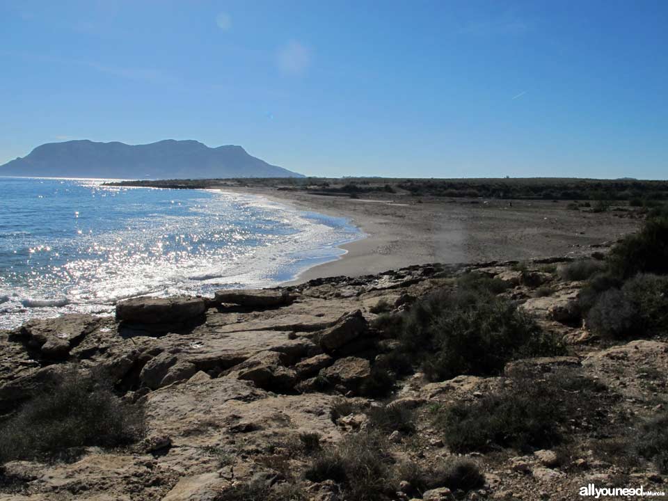 Playa de la Rambla Elena