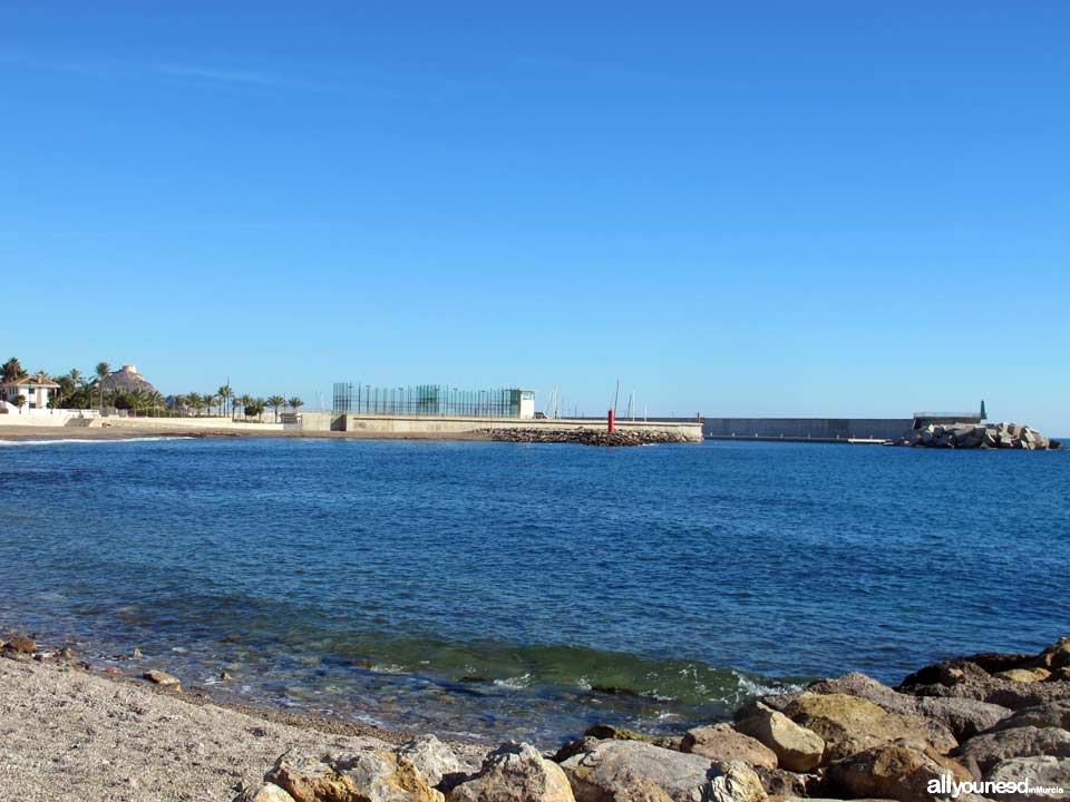 Playa de la Casica Verde