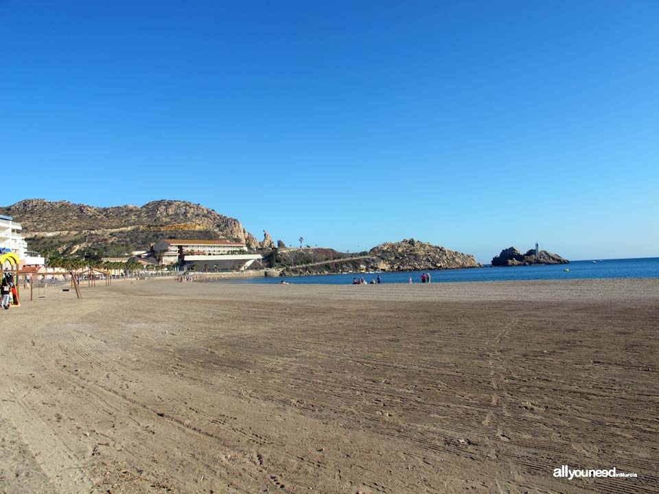 Playa de las Delicias