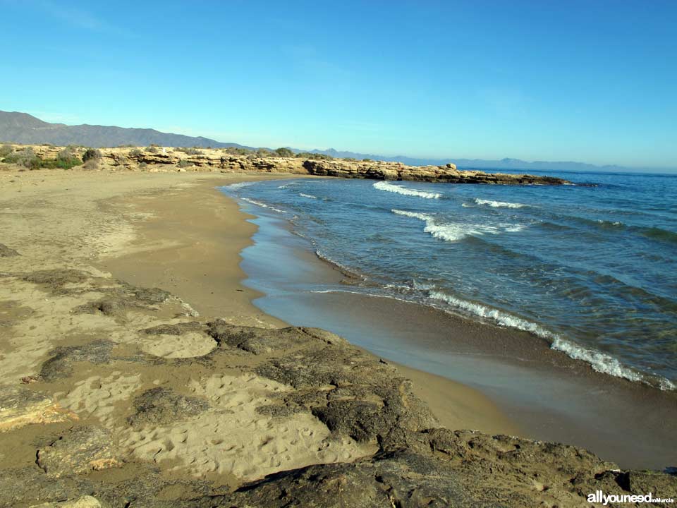 Playa del Charco