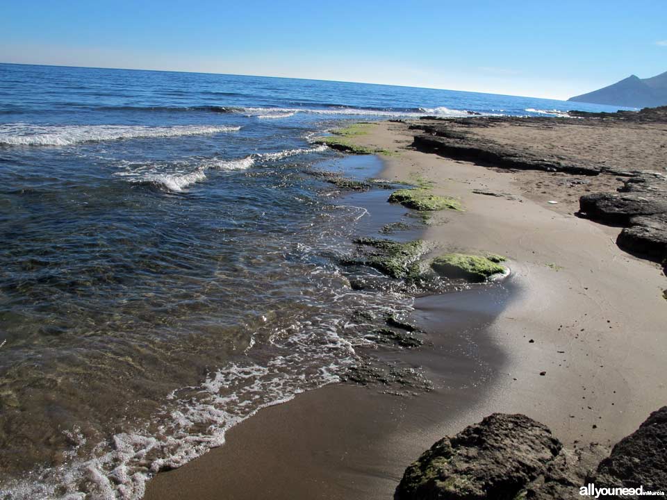 Playa del Charco