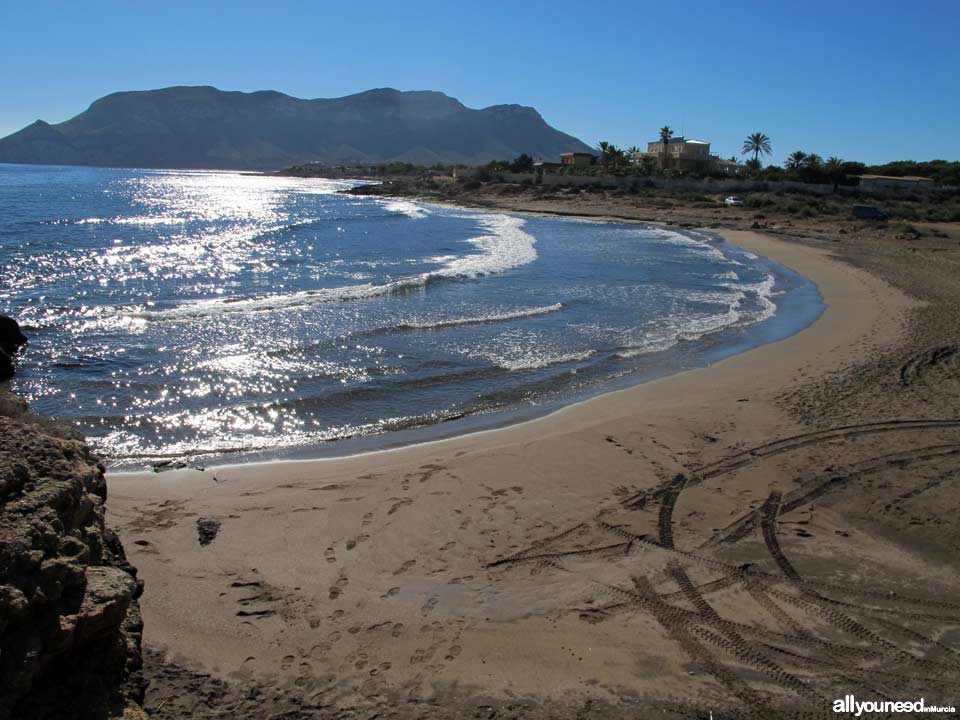 Playa del Charco