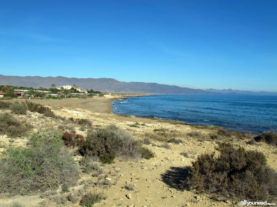 Playa del Hoyo