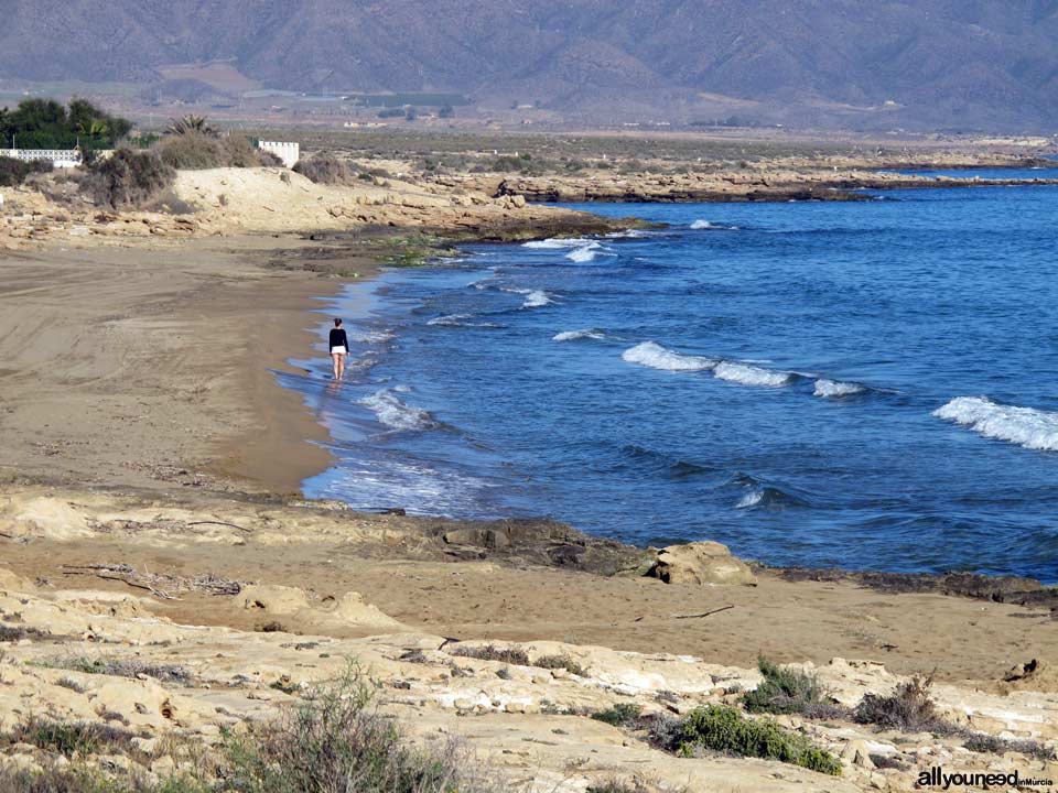 Playa del Hoyo
