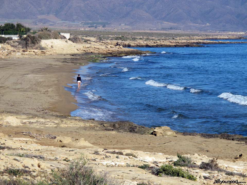 Playa del Hoyo