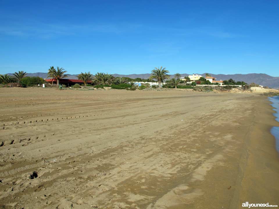 Playa del Hoyo