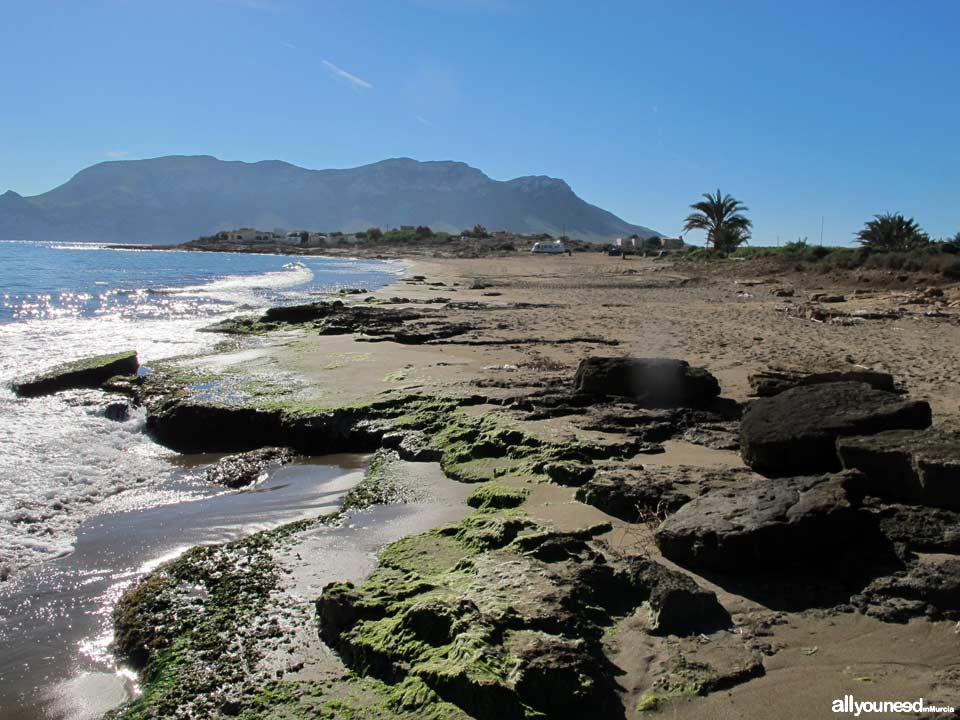 Playa del Hoyo