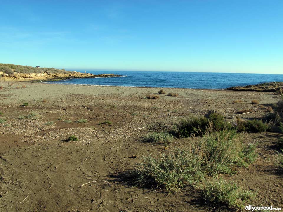 Playa del Pocico del Animal