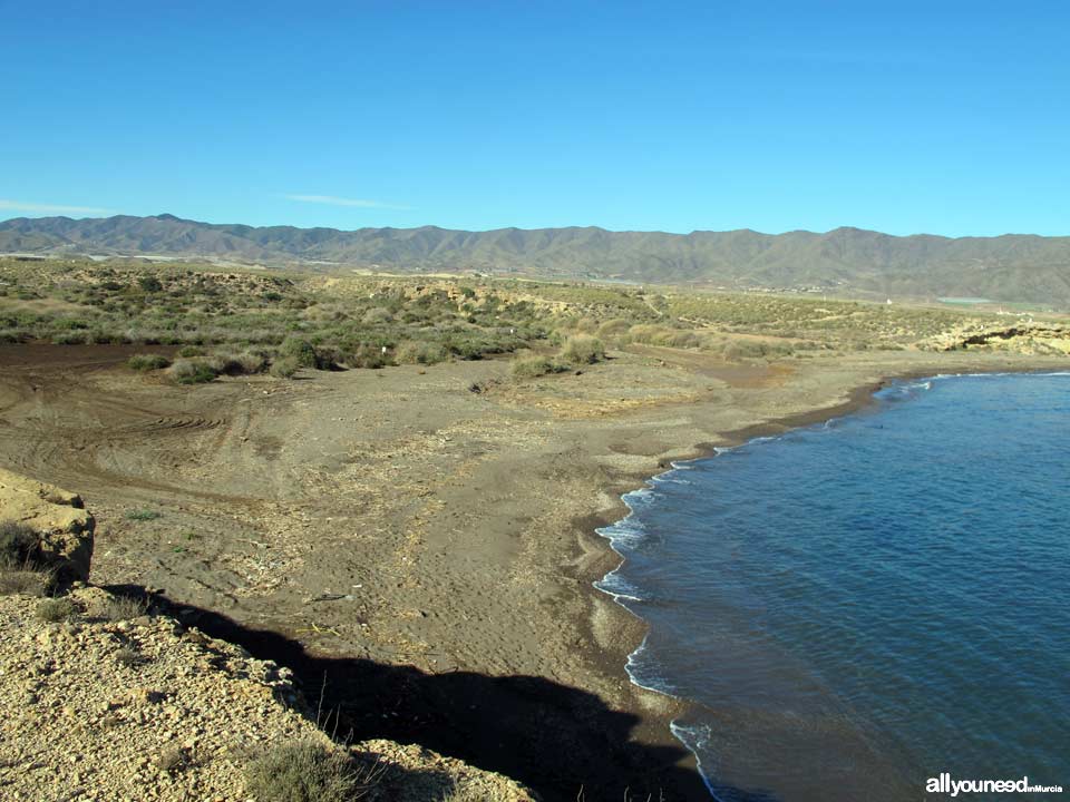 Playa del Saladar