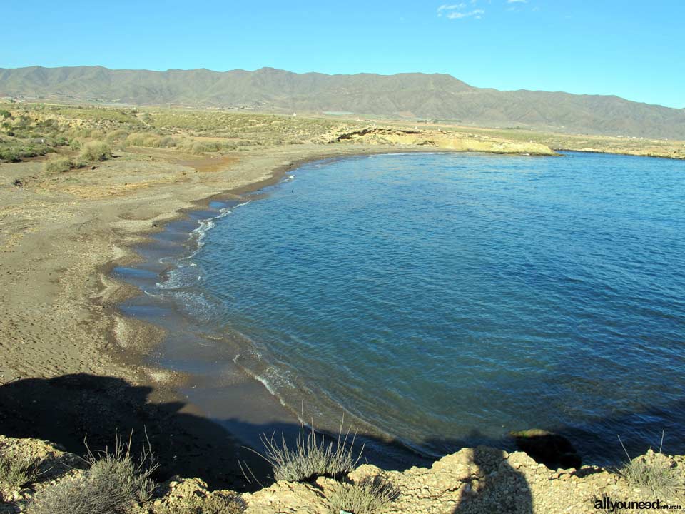Playa del Saladar