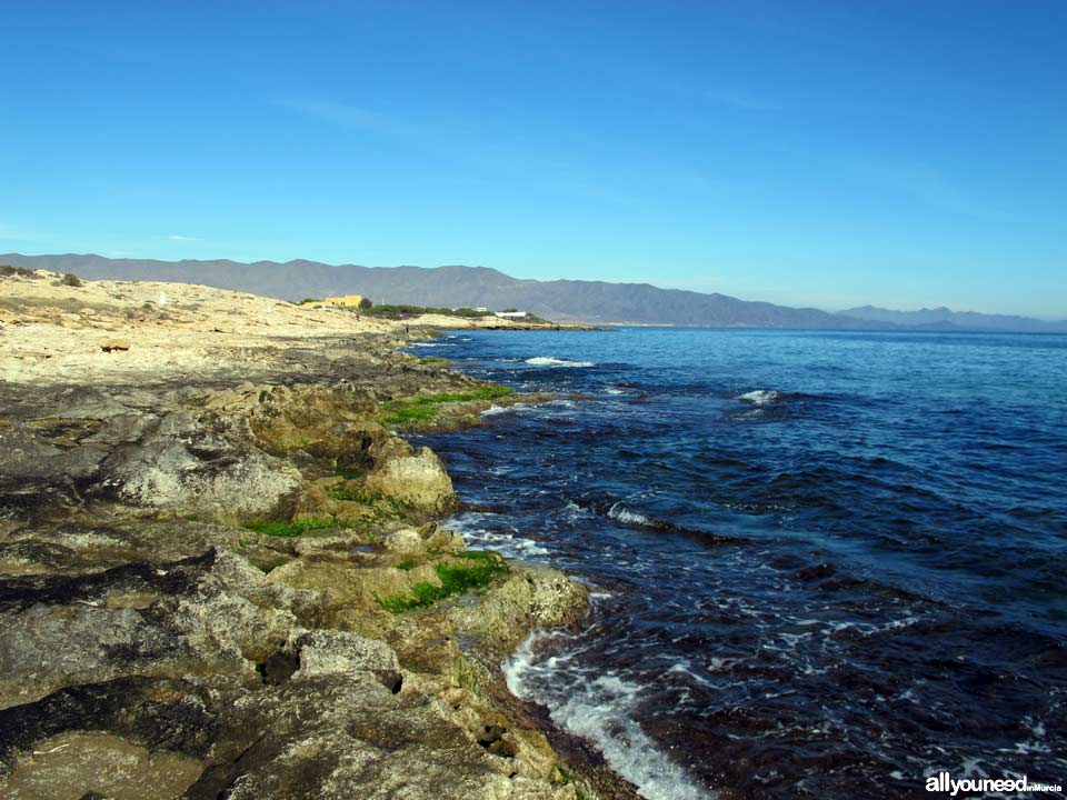 Playa del Sombrerico