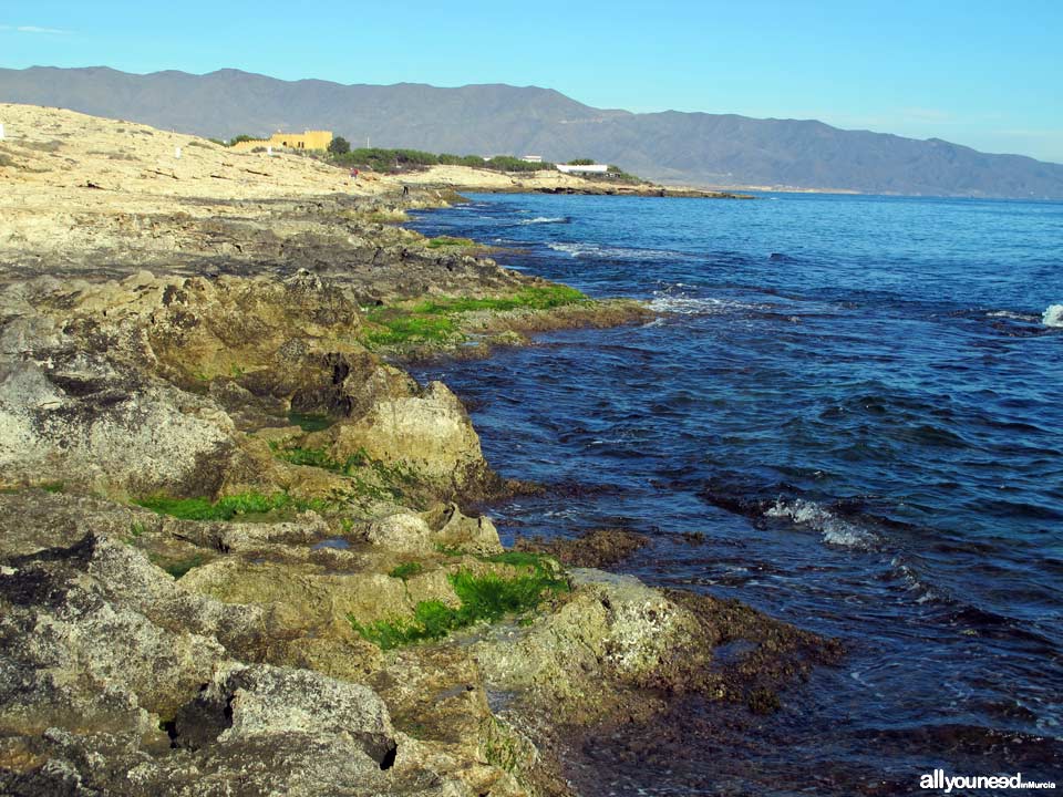 Playa del Sombrerico