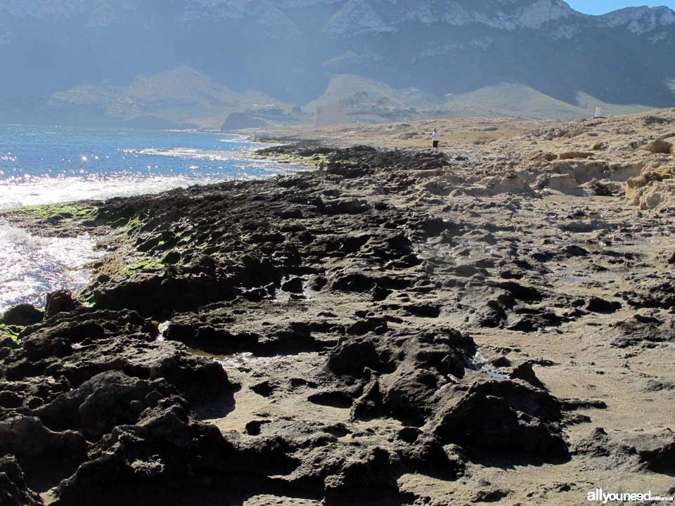 Playa del Sombrerico