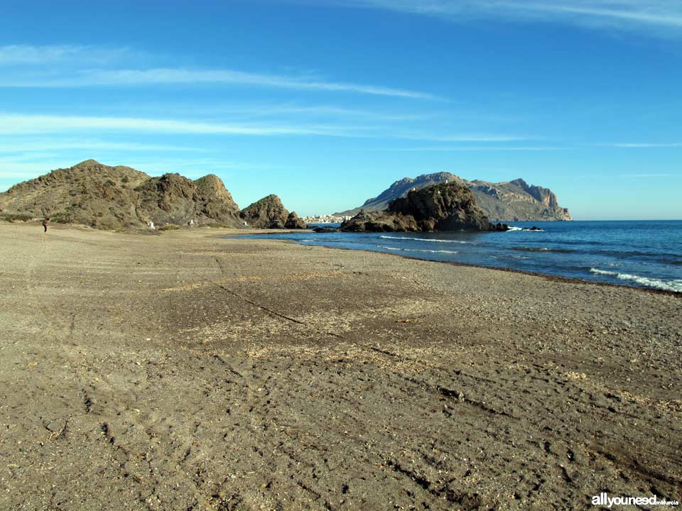 Playa del Arroz