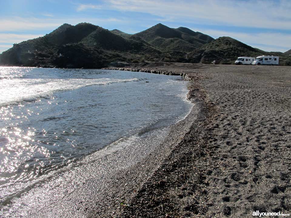 Playa del Arroz