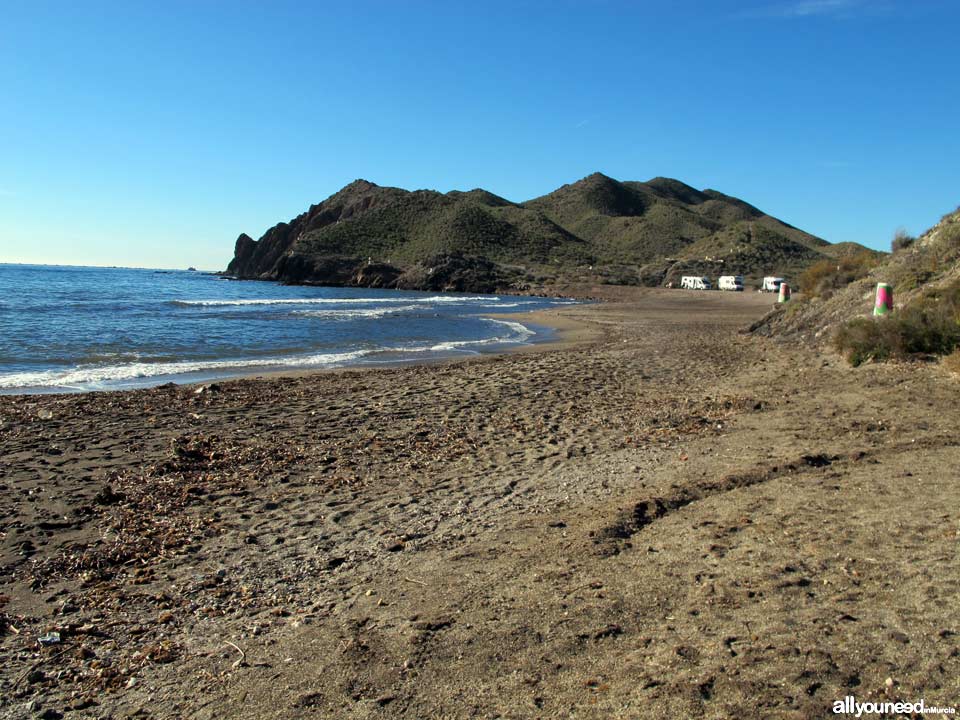 Playa del Arroz