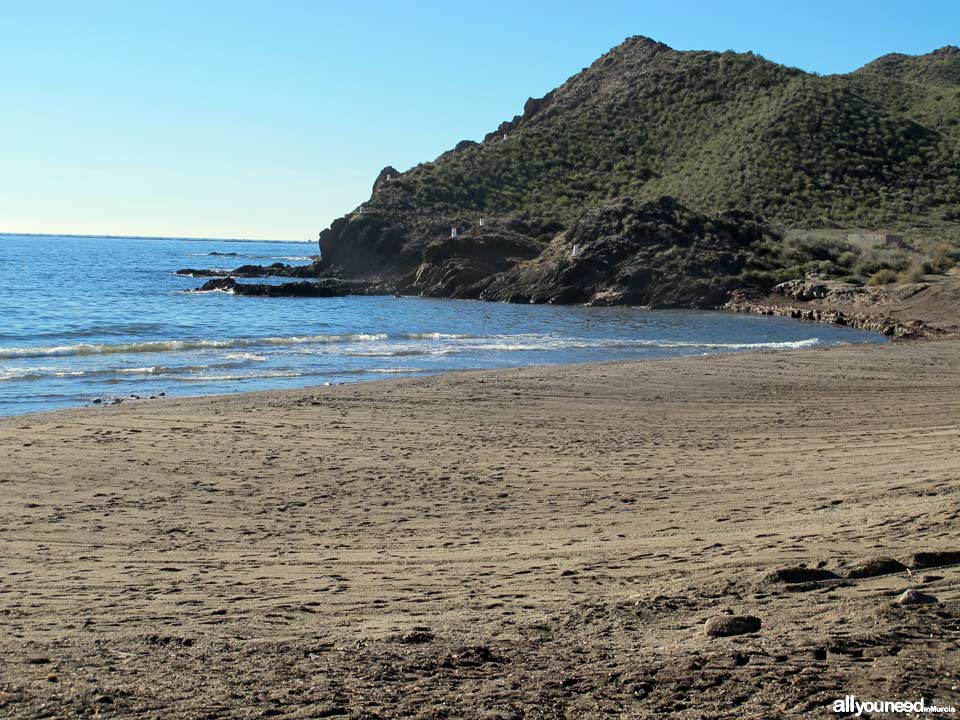 Playa del Arroz