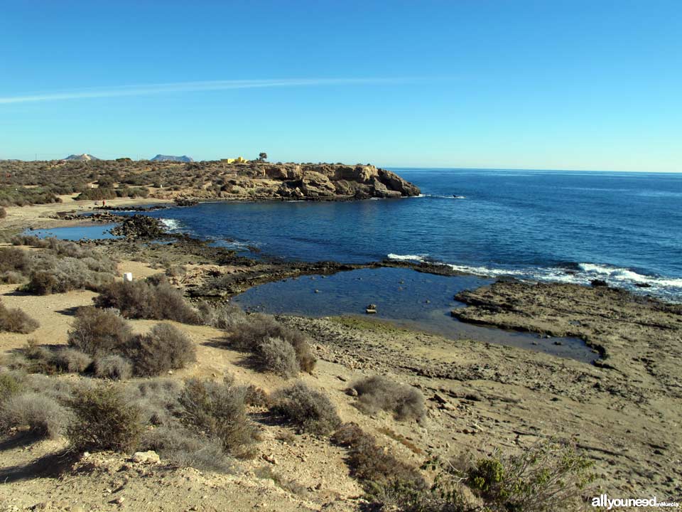 Playa de las Tortugas - Los Cocederos