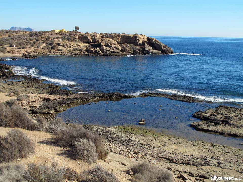 Playa de las Tortugas - Los Cocederos