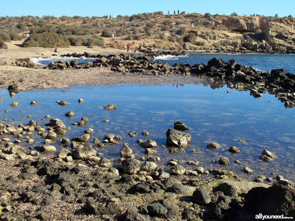 Playa de las Tortugas - Los Cocederos