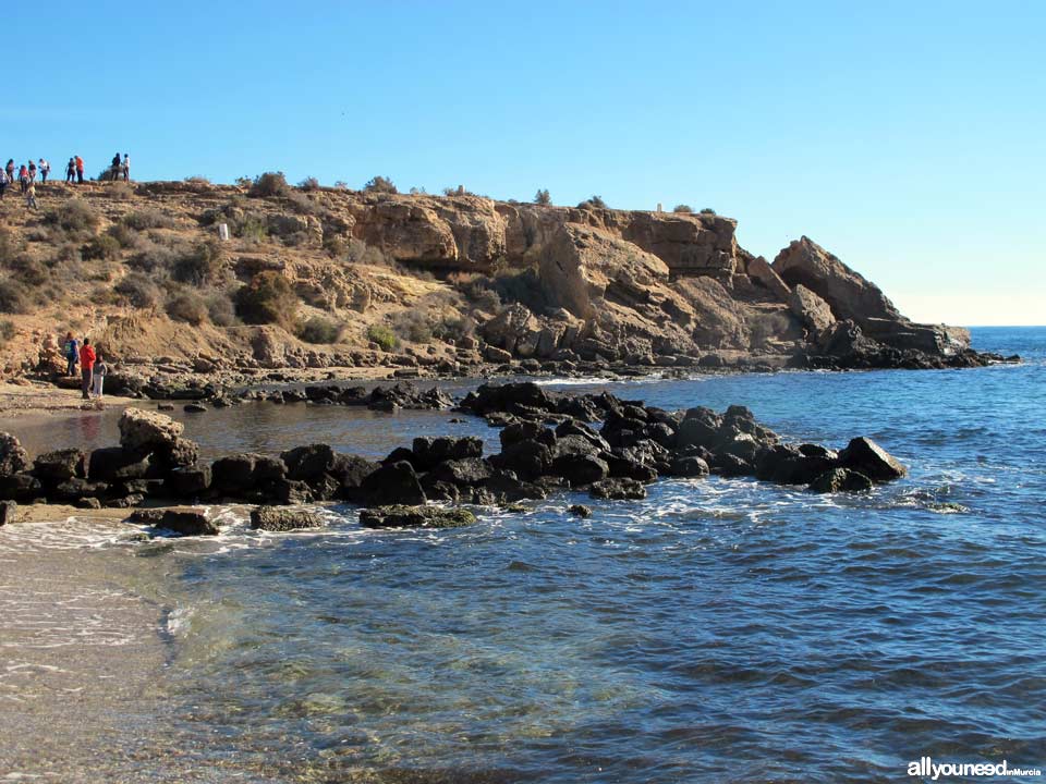 Playa de las Tortugas - Los Cocederos