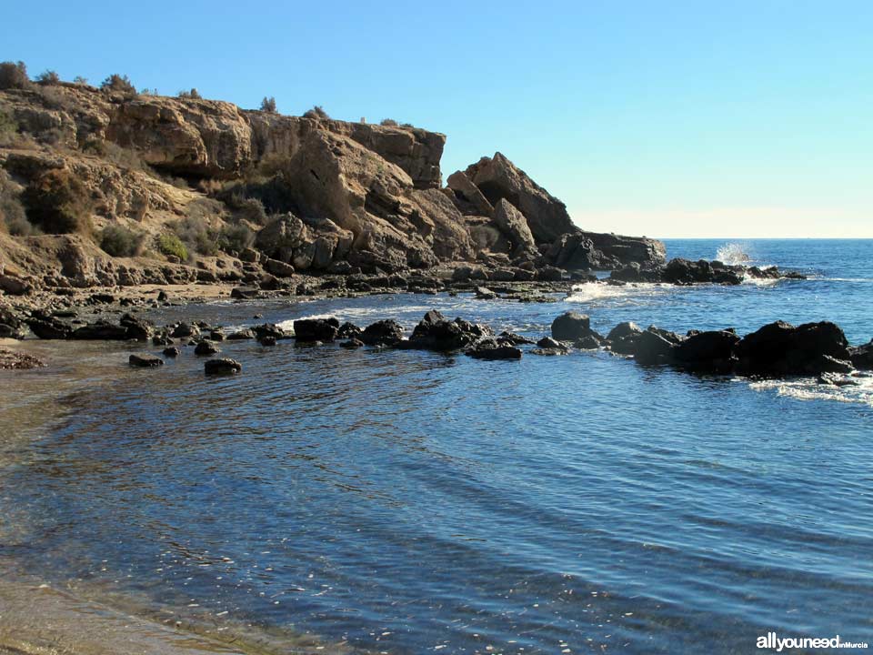 Tortugas Beach - Los Cocederos Beach