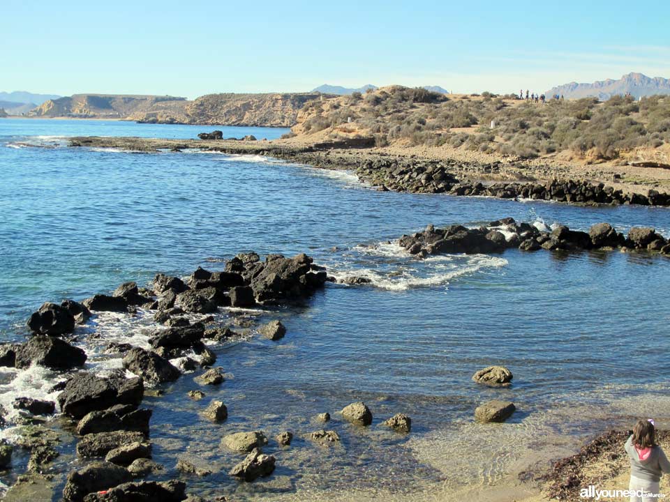 Playa de las Tortugas - Los Cocederos