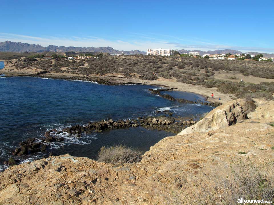 Tortugas Beach - Los Cocederos Beach