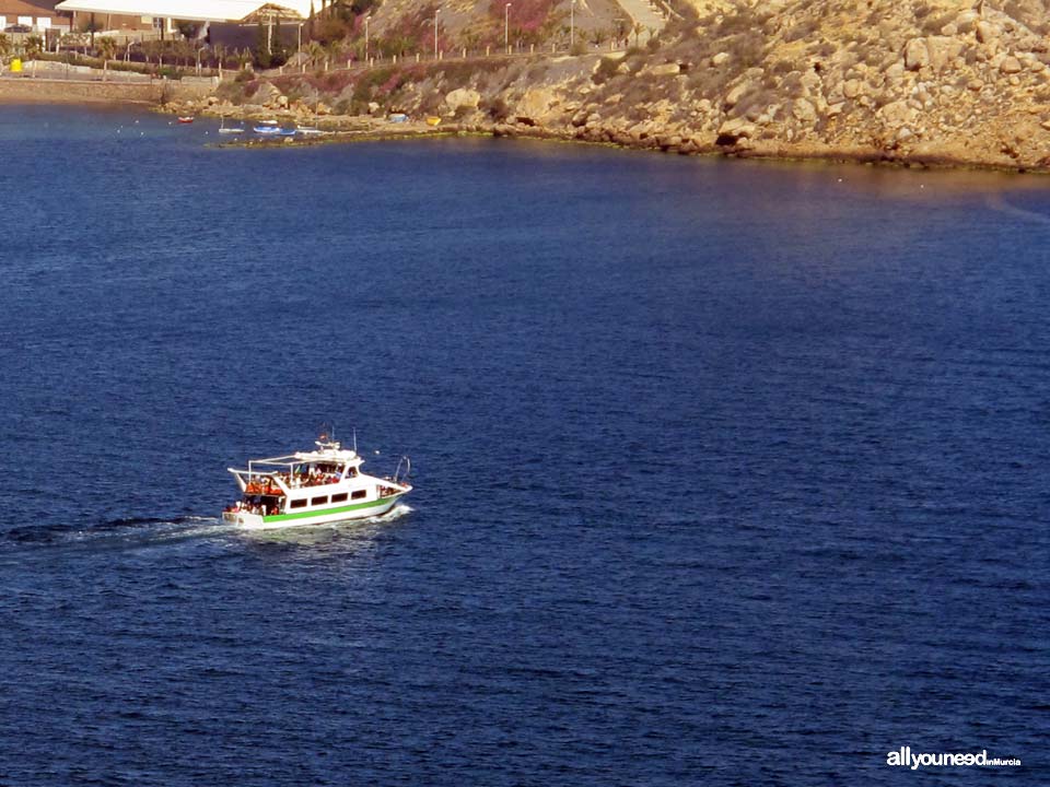 Barco Don Pancho en Águilas. Paseos en barco