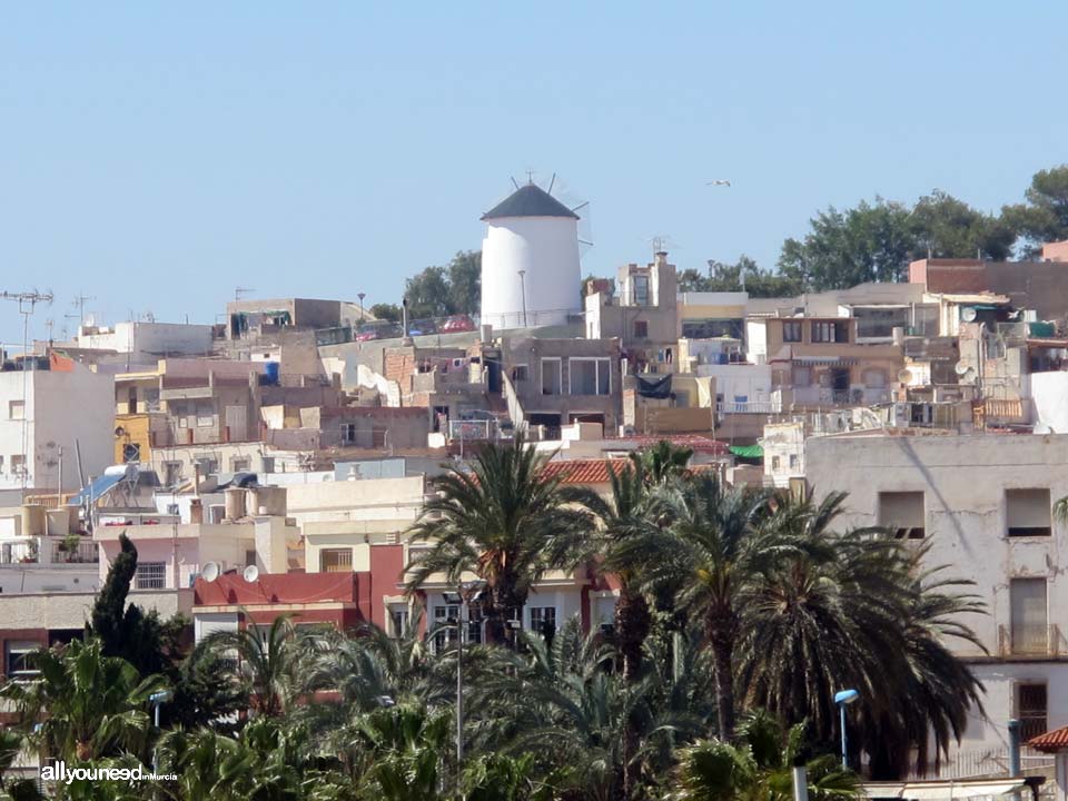 Los Alacranes Windmill