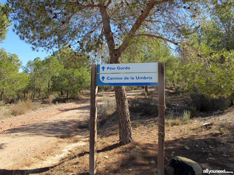 Sierra de la Muela. Alhama de Murcia