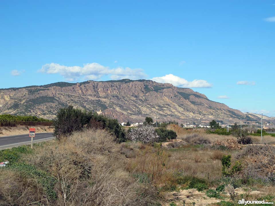 Sierra de la Muela. Alhama de Murcia
