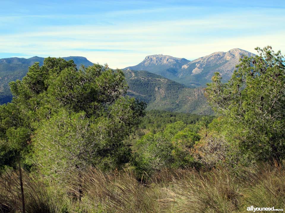 Sierra de la Muela. Alhama de Murcia