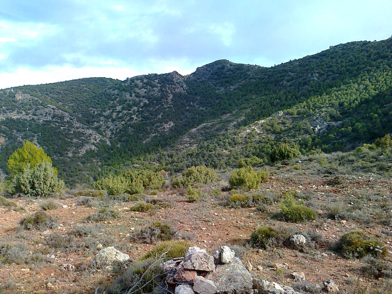 El Berro-Gebas Ravine Route