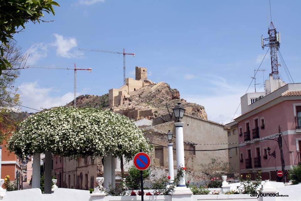 Castillo de Alhama de Murcia. Castillos de Murcia