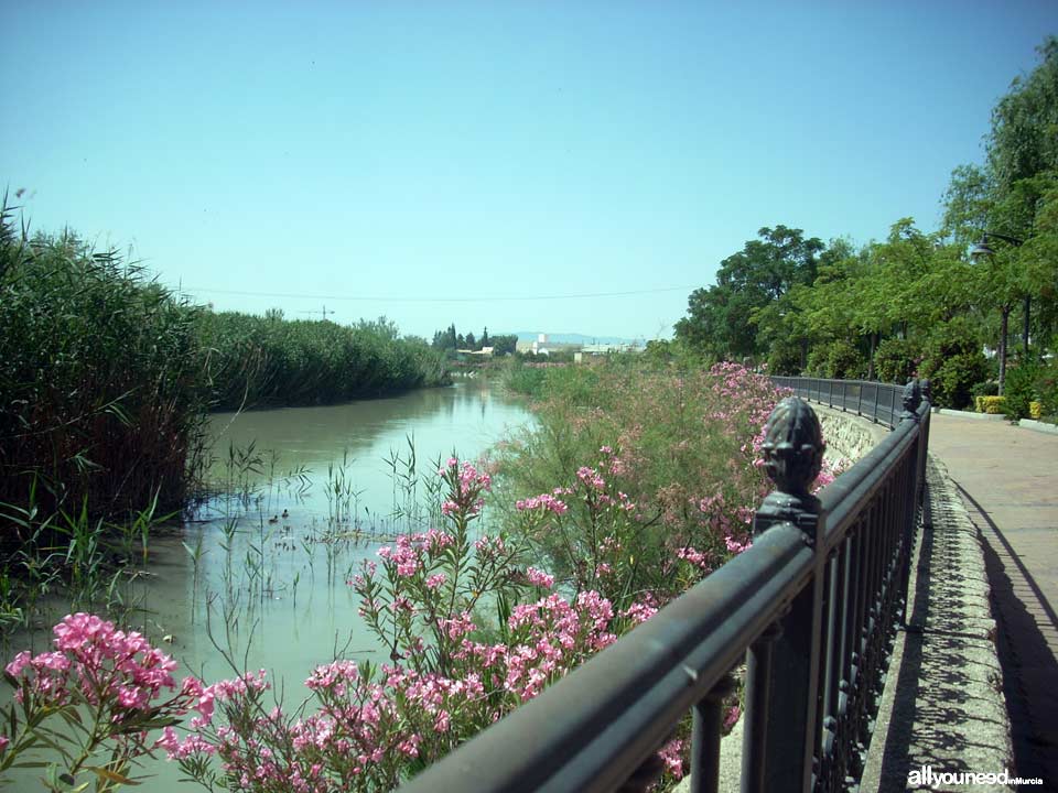 Río Segura al paso por Archena