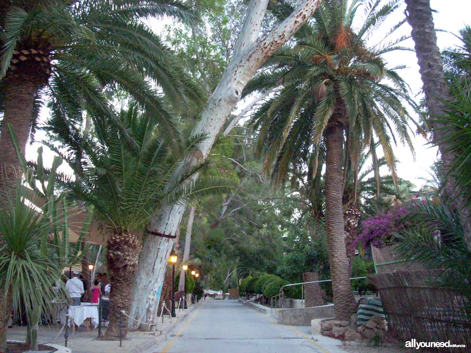 Balneario de Archena