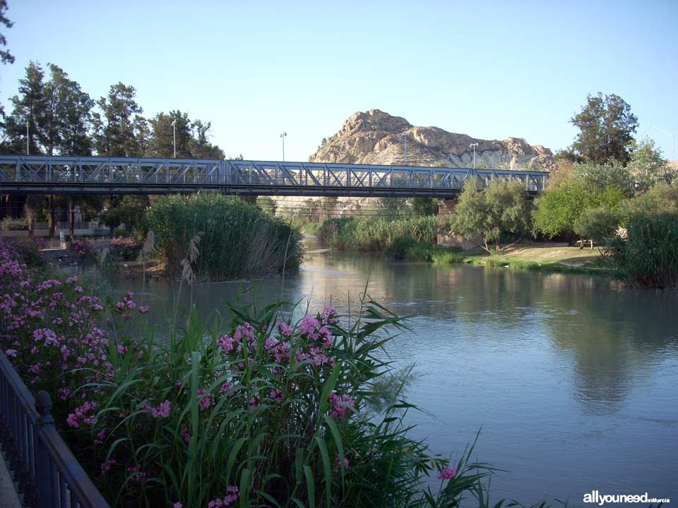 Puente de Hierro de Archena