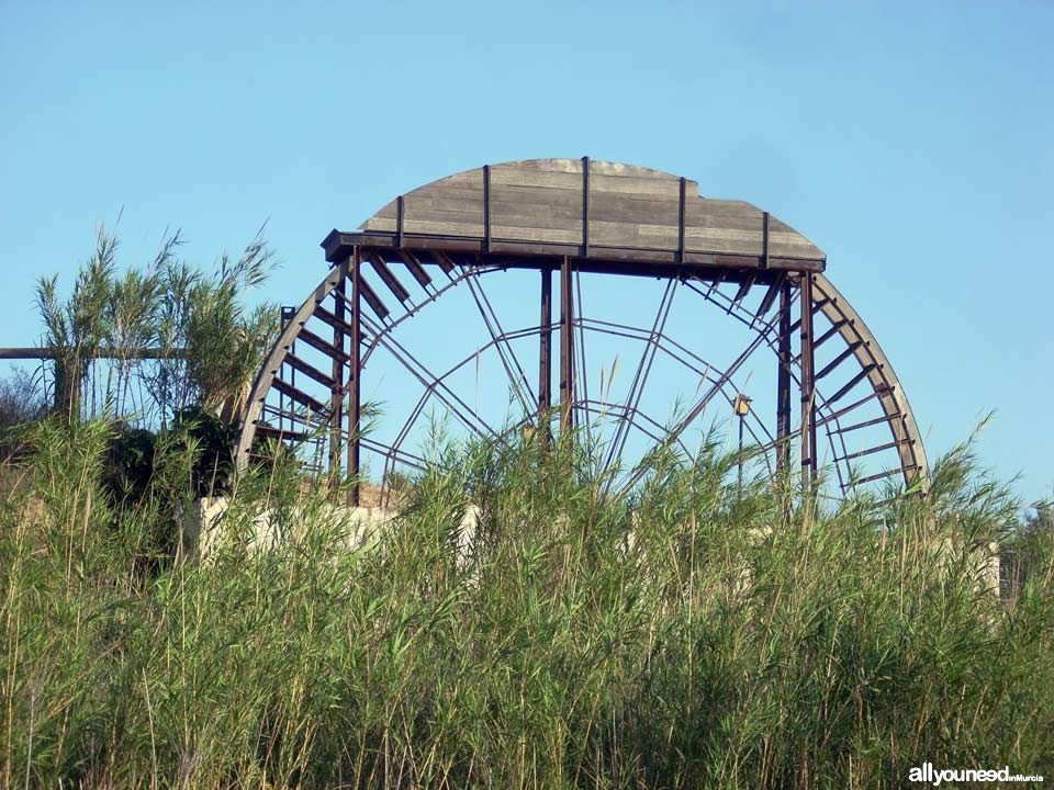 Acebuche Waterwheel in Murcia. Spain