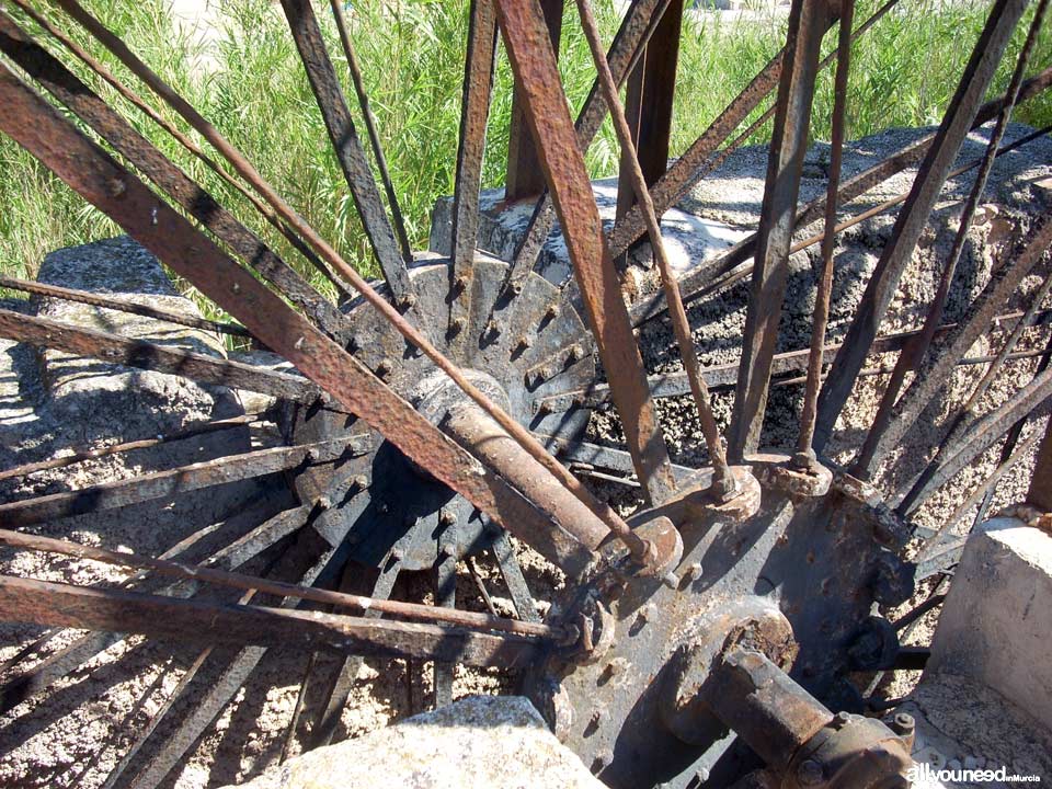 Acebuche Waterwheel in Murcia. Spain