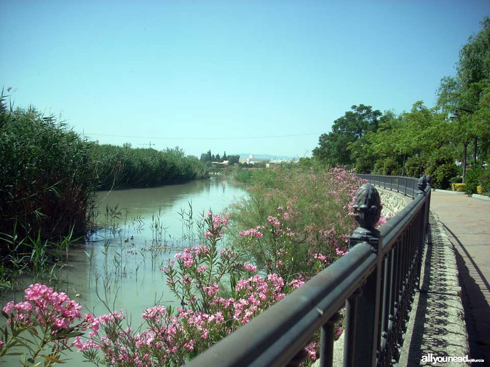 Paseo Ribereño junto al río Segura en Archena
