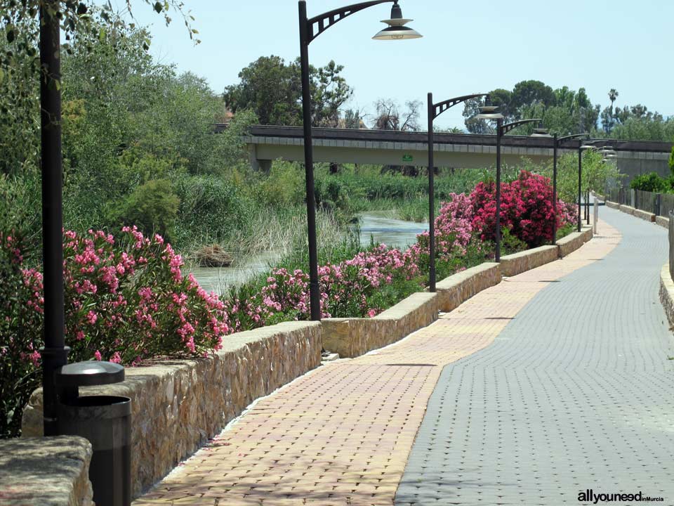 Paseo Ribereño junto al río Segura en Archena