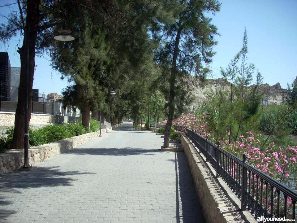 Paseo Ribereño junto al río Segura en Archena