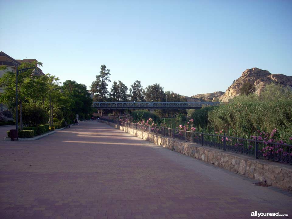 Paseo Ribereño junto al río Segura en Archena
