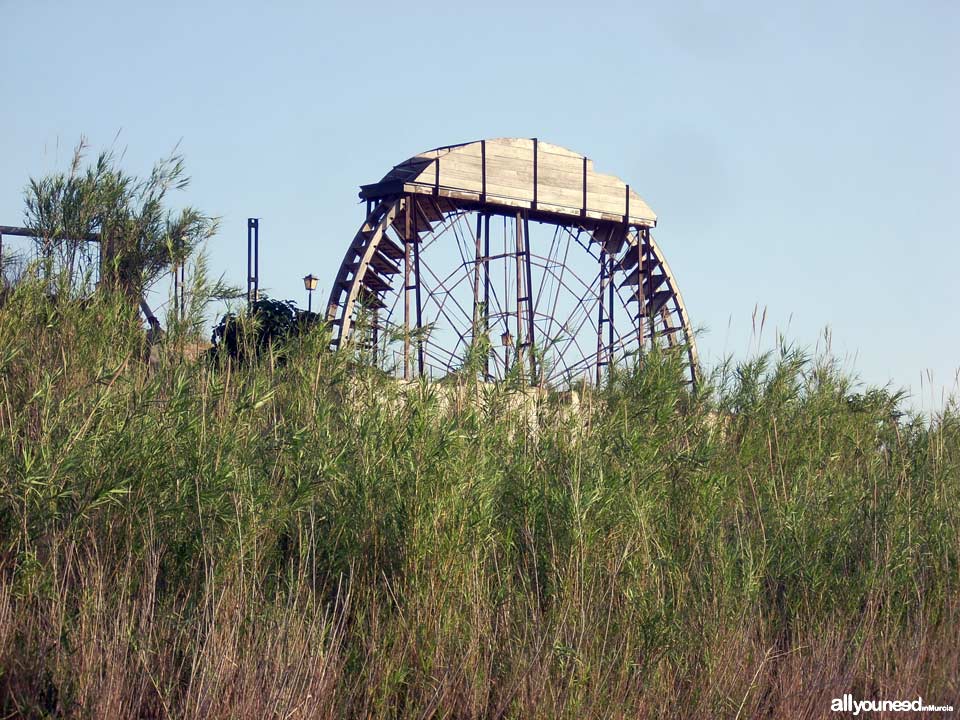 Paseo Ribereño junto al río Segura en Archena